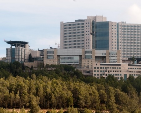лечение в Израиле больница Хадасса